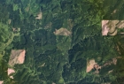 Planet_AG_Corvallis-Logging-full.5.2.15