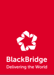 BlackBridge_RapidEye_logo_male